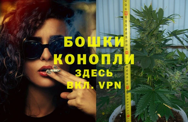 эйфоретик Горняк