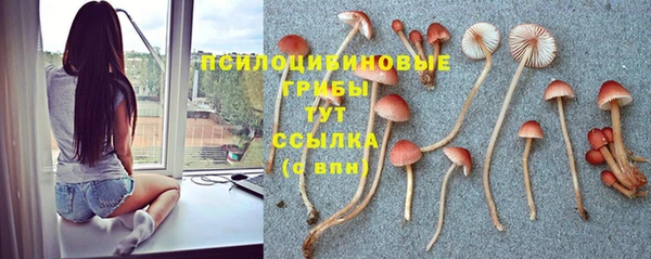 эйфоретик Горняк