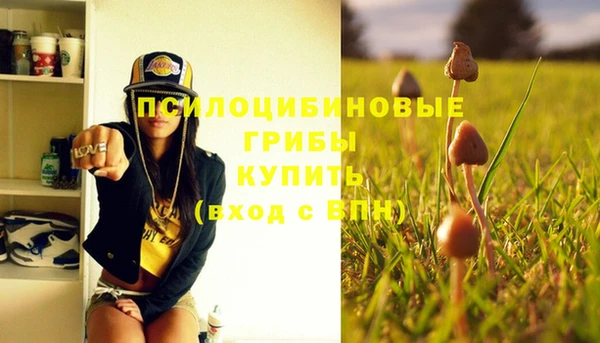 эйфоретик Горно-Алтайск