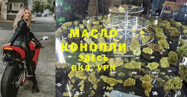 эйфоретик Горняк