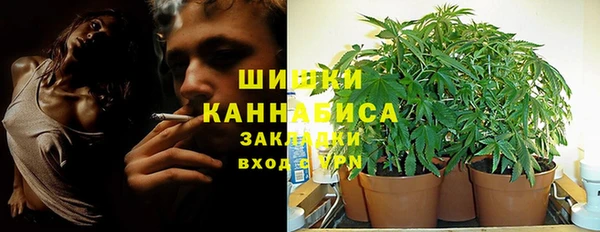 эйфоретик Горняк