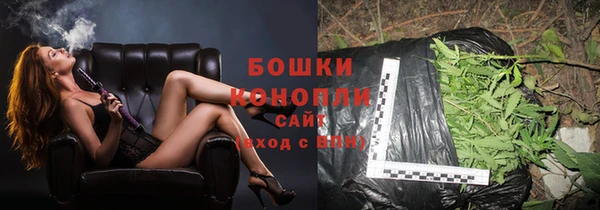 эйфоретик Горняк