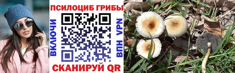 Галлюциногенные грибы GOLDEN TEACHER  где можно купить наркотик  Ангарск 